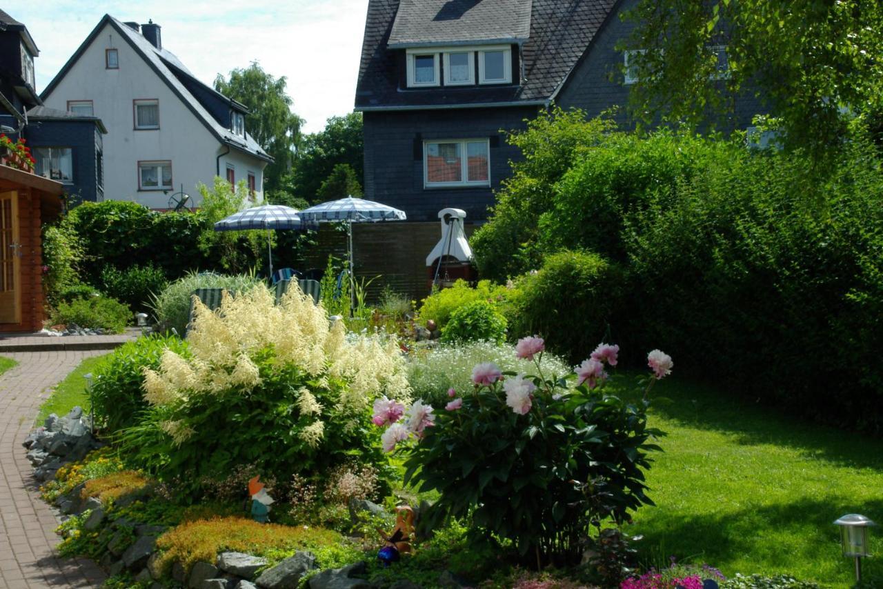 Haus Elsholz Usseln Birke