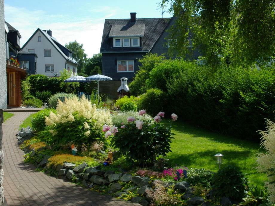 Haus Elsholz Usseln Birke Willingen (Upland)